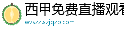 西甲免费直播观看